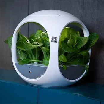 Family balcony hydroponic indoor plant  for energy saving