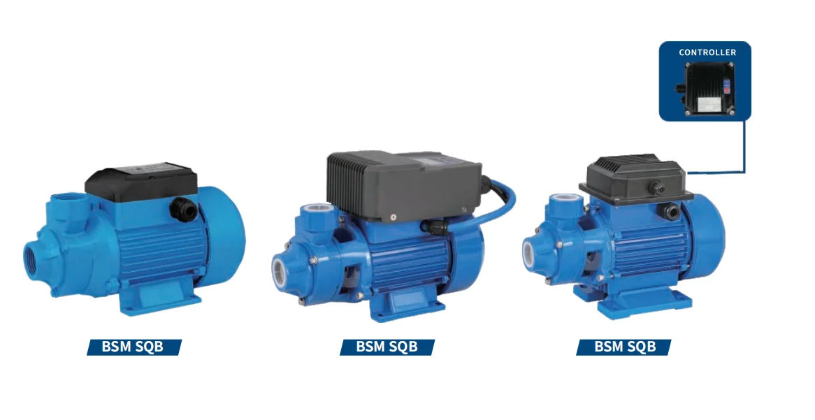 Bluesun  Submersible Water Pump with Solar Panel Mounting System for Agriculture Irrigation and Home Use in Africa