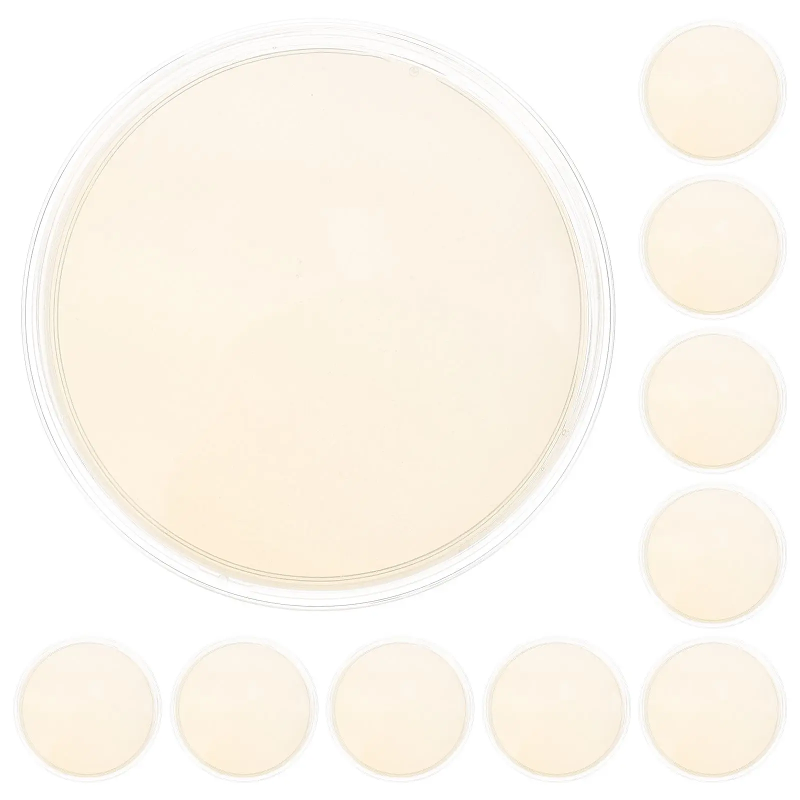 

10 Pcs Agar Plates Leak Proof Dishes for Mycology Science Experiment Supplies Disposable Petri Dishes Agar Medium Nutrient