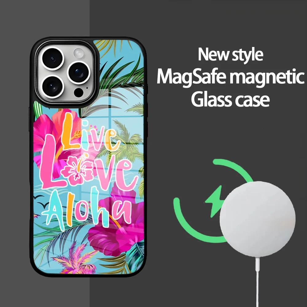 

HawailAloha Black Phone Case For IPhone 16 15 14 13 12 11 Pro Max Plus Mini Magsafe Mirror Wireless Magnetic Cover