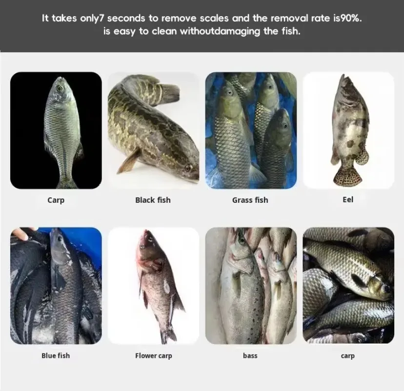Multi-Functional Fish Killer Machine For Freshwater & Seafood Use