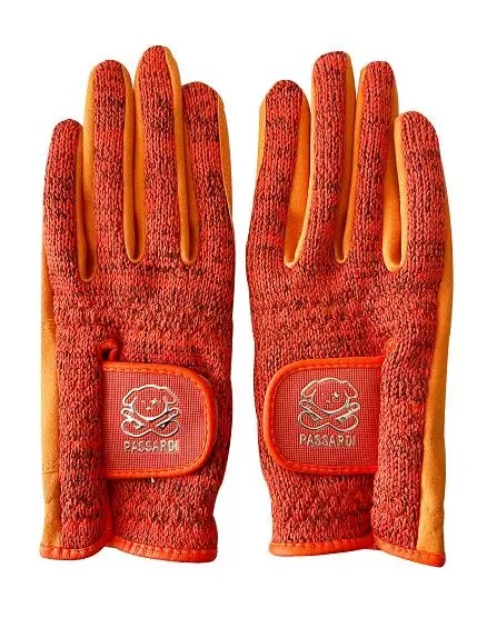 New Korean PASSARDI Women's Autumn and Winter Golf Gloves with Velvet Inside for Super Warmth (Hands)