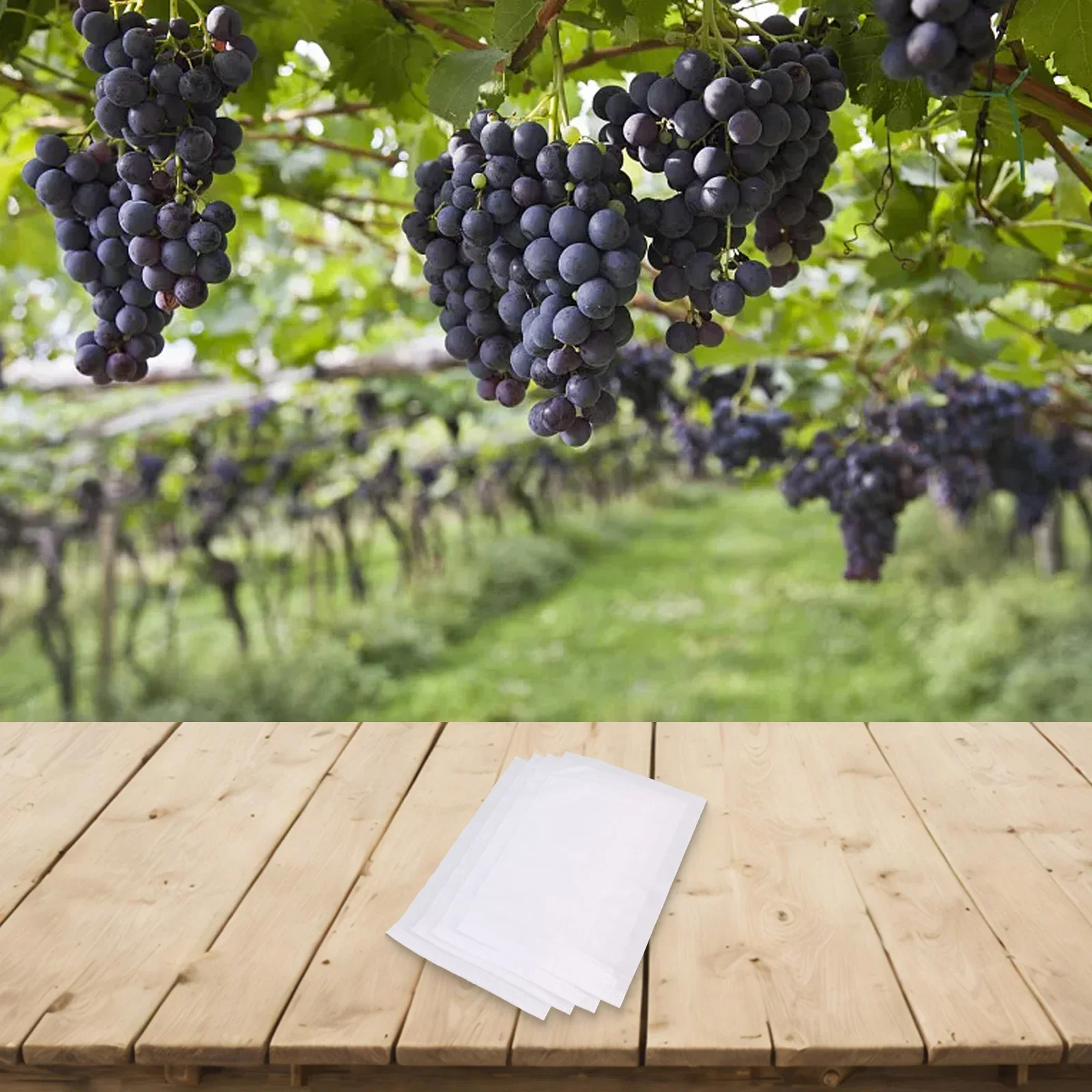 

Anti Insect Waterproof Grape Protection Bags 100PCS Breathable Non Woven Material Convenient Drawstring Closure