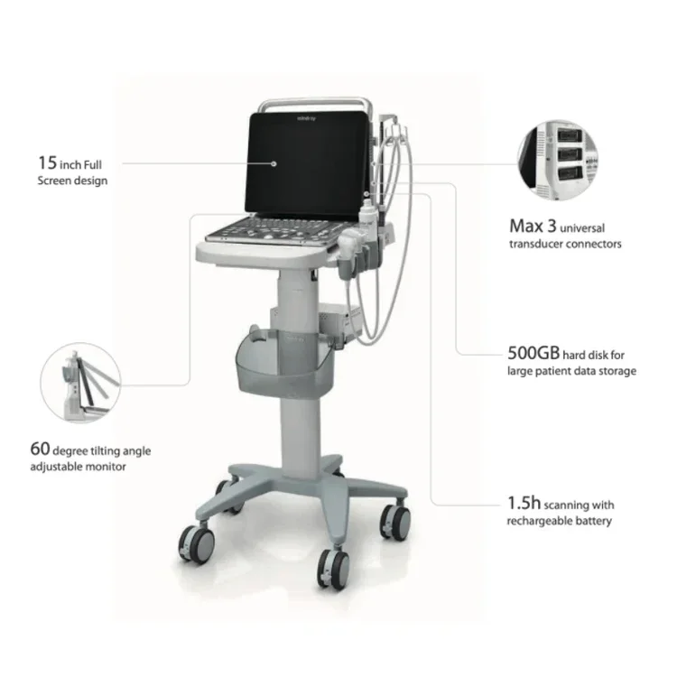 Mindray Z60 Vet Digital Ultrasound System 3D 4D Optional Portable Veterinary Color Doppler usg