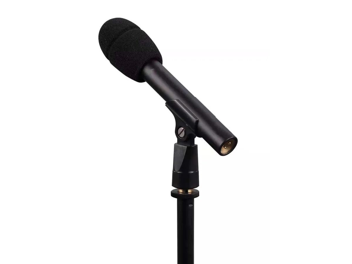 HUAIN professional Condenser Mic Interchangeable 2 Head Modular Instrument Recording Microphone with stand
