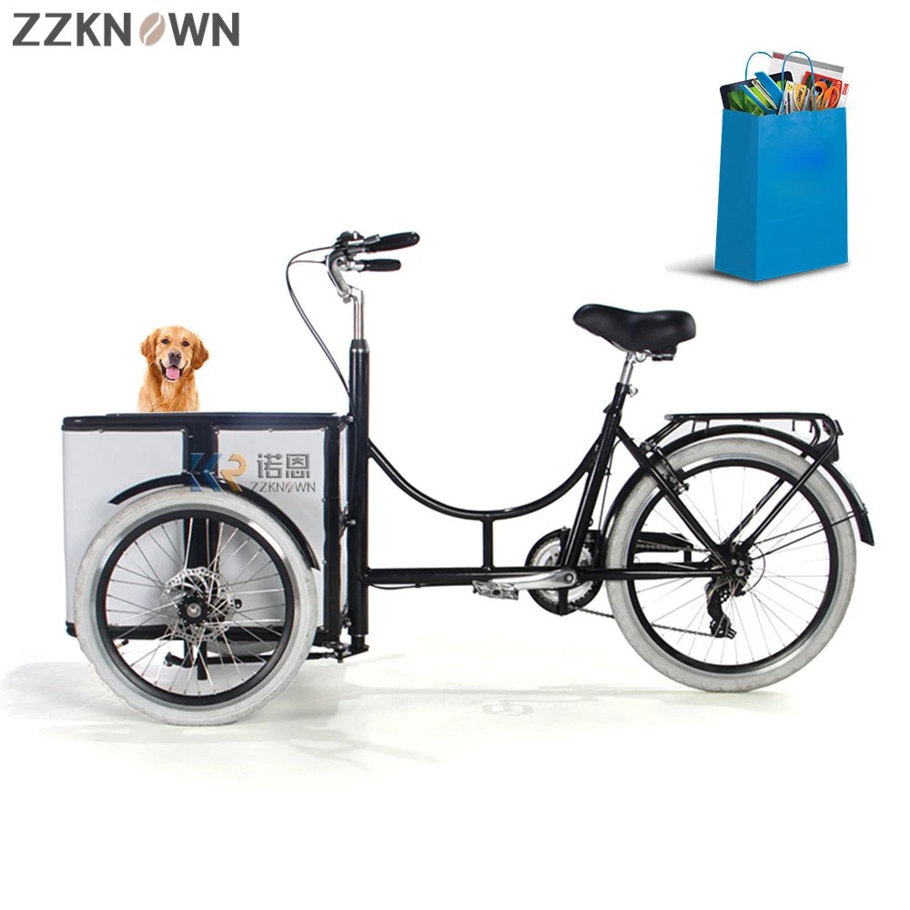 

2022 Mobile Electric Tricycle Passenger Bike Street Bicycle Three Wheels 6 Gears Speed Color Customized