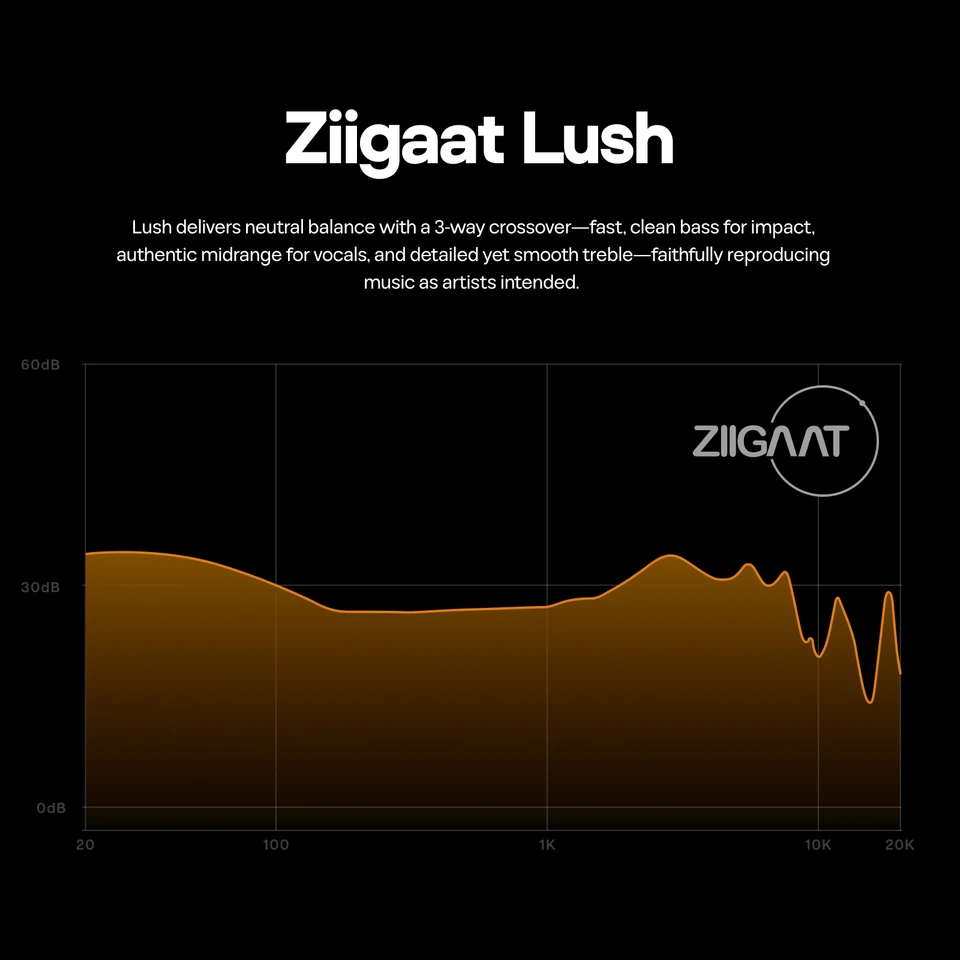 ZiiGaat Lush Studio 1DD+4BA Hybrid IEM Hifi Earphone Wired Earbuds