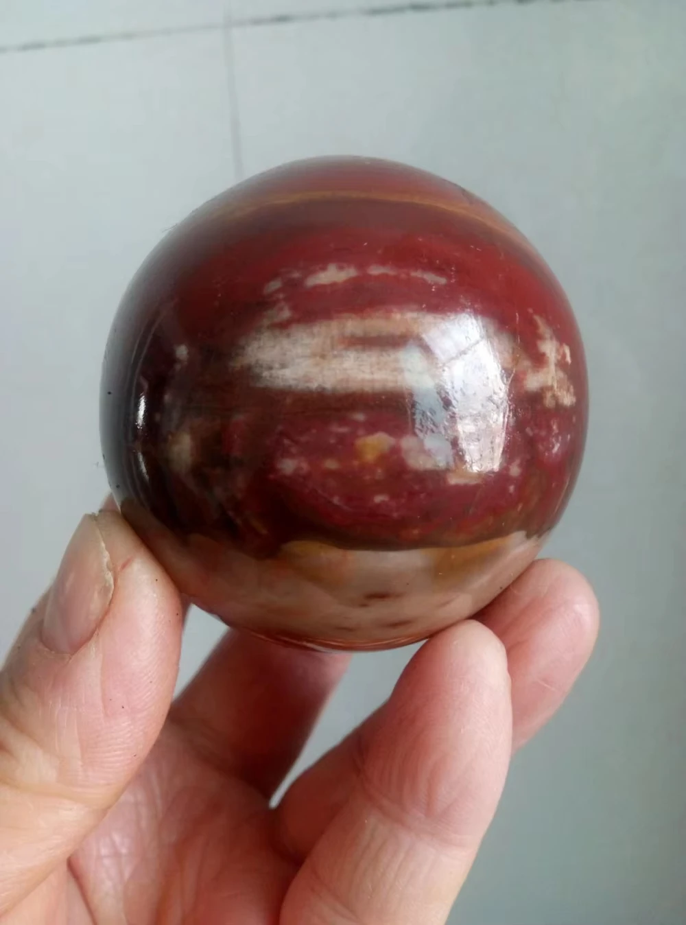 Petrified Wood Sphere Stone 2 inch Conifer Mineral Ball Madagascar
