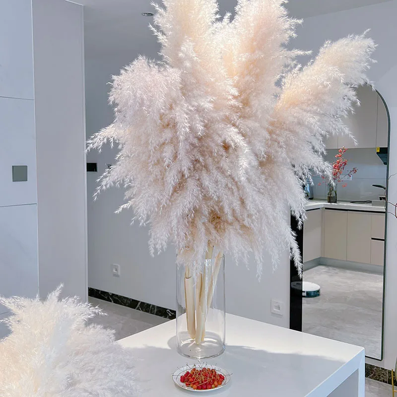 大きな湿地の葦の束,120cm,天然のドライフラワー,結婚式の装飾,自由奔放に生きる家,緑の居間,緑