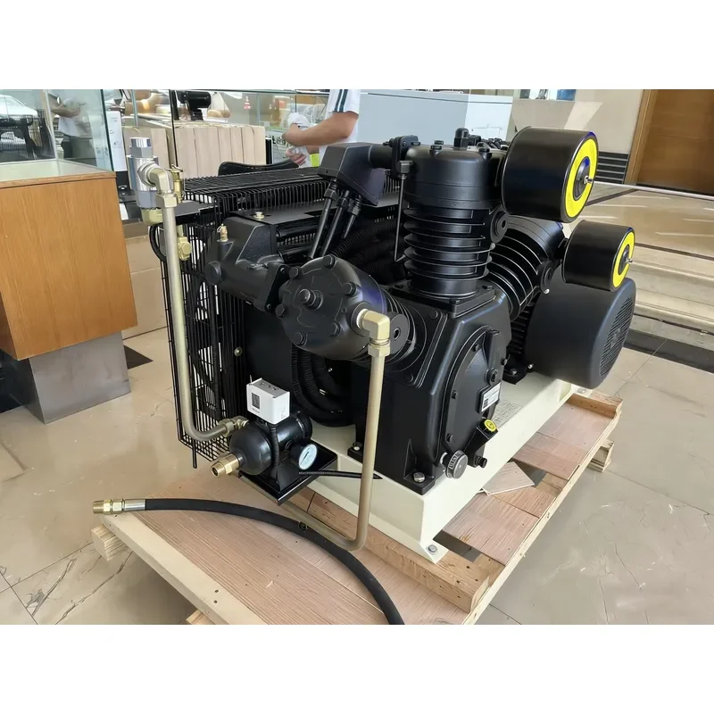 RTTW High Performance 30BAR Piston Compressor 1.6m³/min Industrial Air Compressor for High Pressure Air Supply