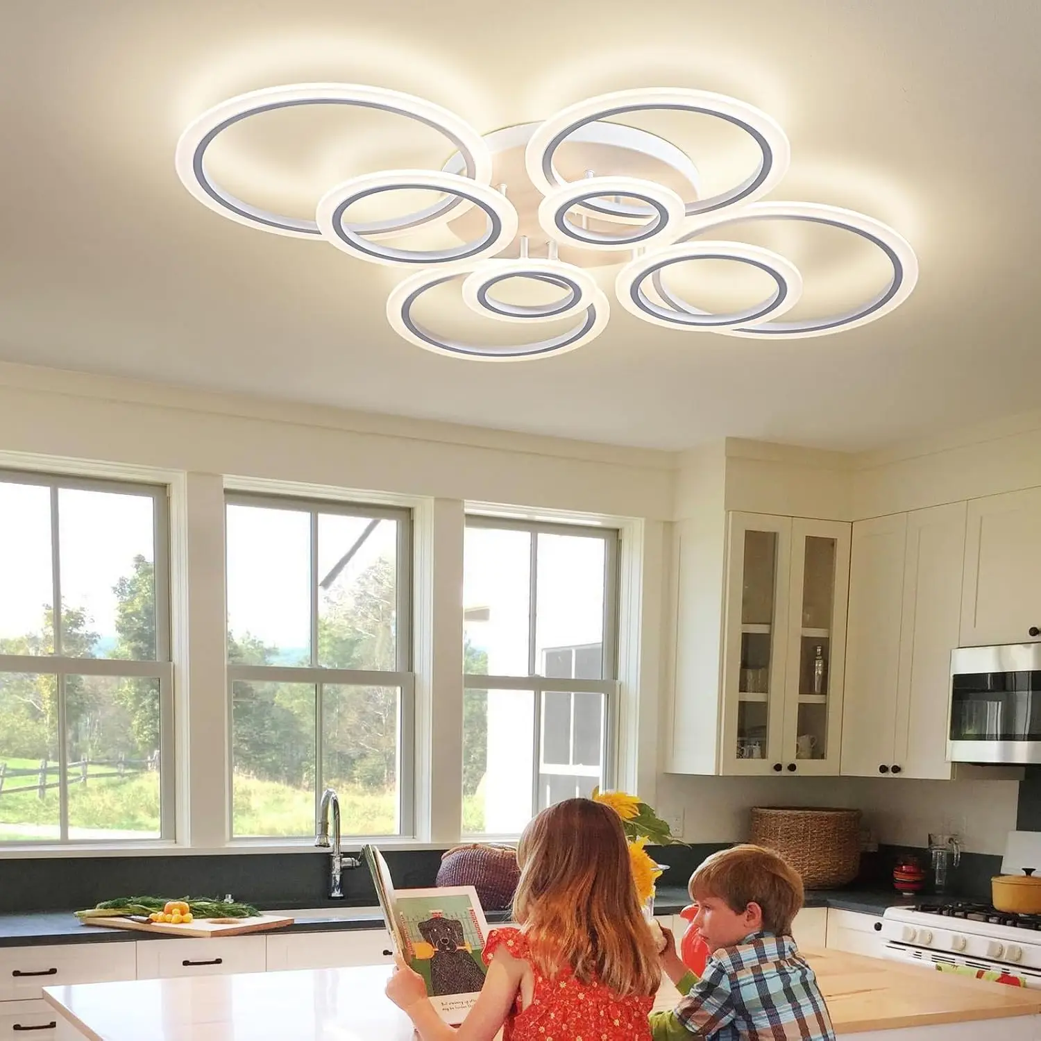 Modern Led Ceiling Light, Dimmable Led Chandelier Flush Mount Ceiling Lights, Remote Control Acrylic Ring Ceiling Lamp Fixture