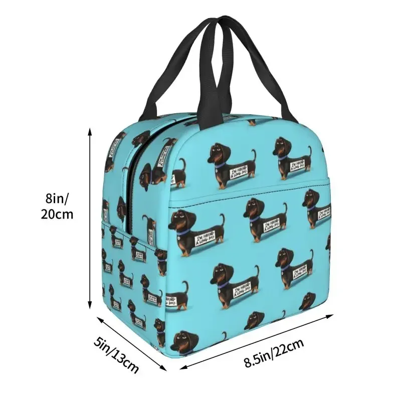 Bolsa de almuerzo con aislamiento para cachorros divertidos de perro salchicha para mujer, refrigerador térmico impermeable para mascotas, fiambrera para playa, Camping, viaje