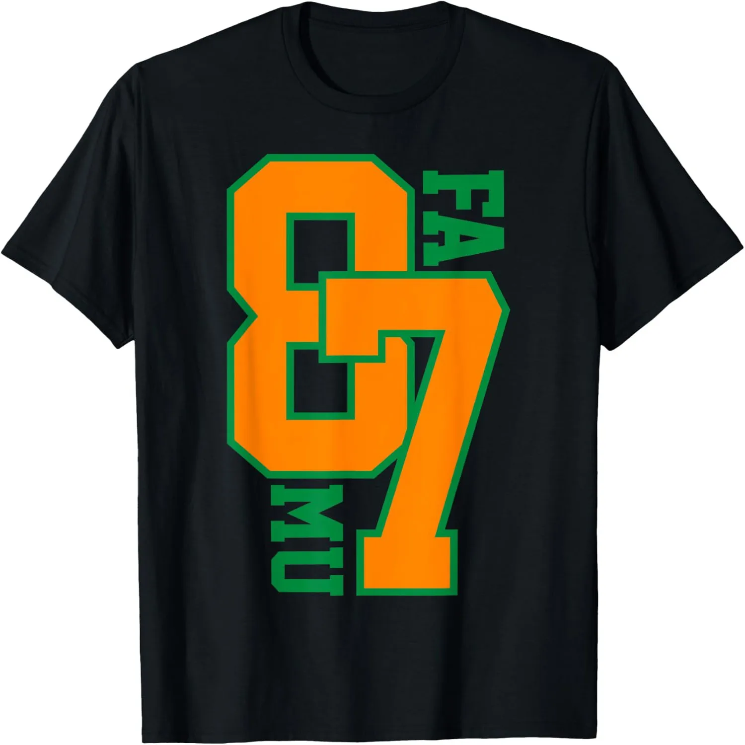 87 F A M U FL Era T-Shirt Short sleeve shirt, Retro tee