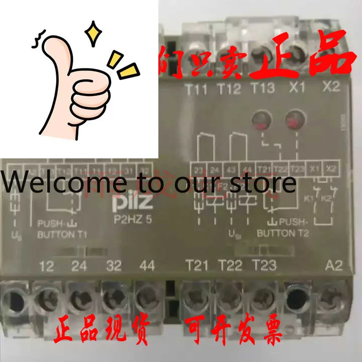 Original Pilz P2HZ …