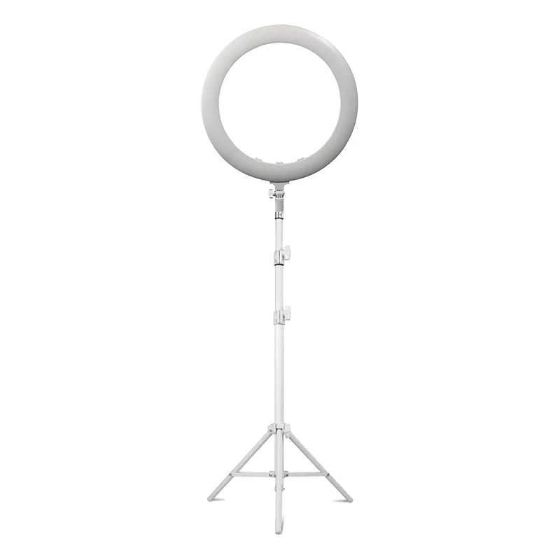 

20-Inch White Ring Light True 70W Ultra-Thin Portable Photo Studio Stand with Remote for Phone Beauty Salon Photography