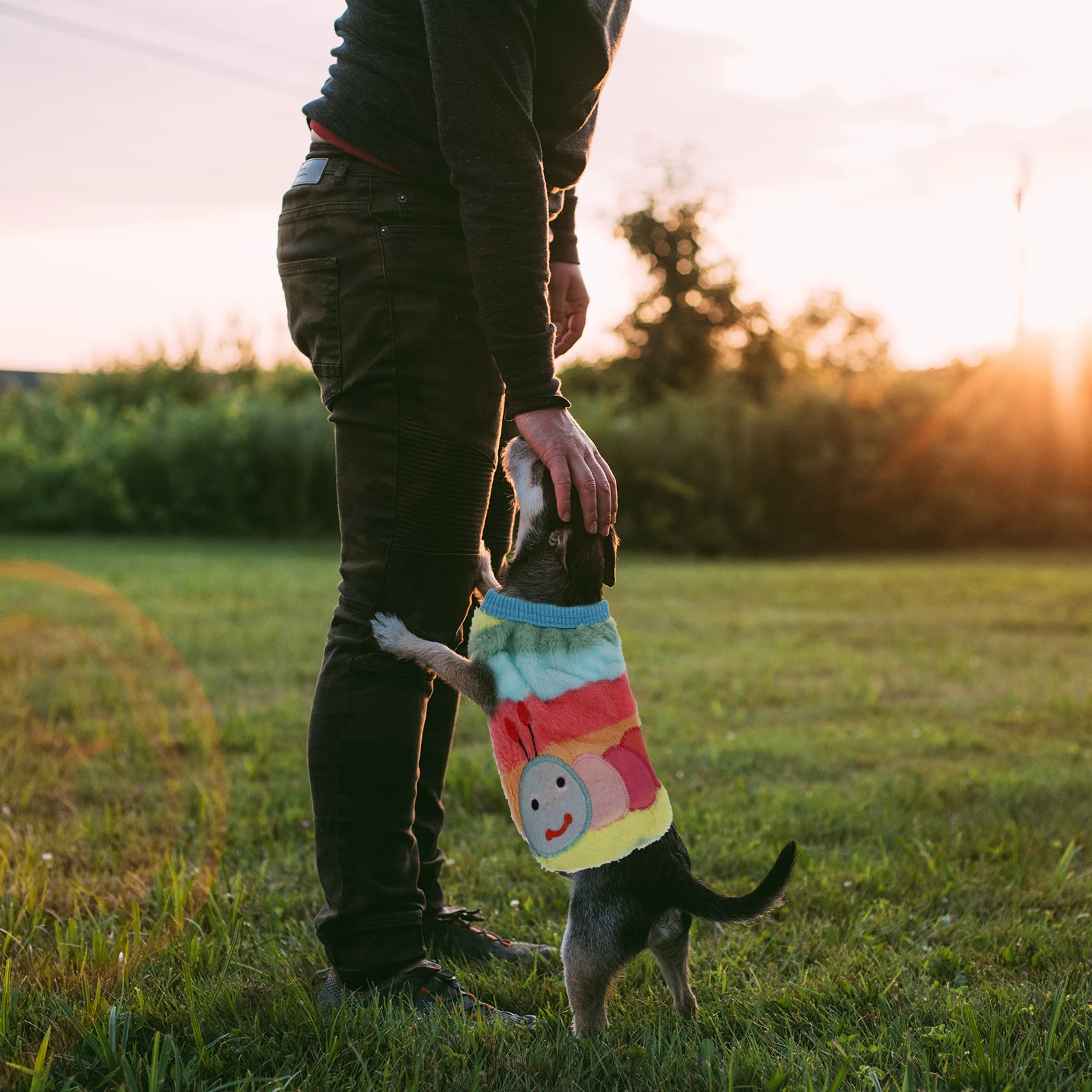 

2Pcs Dog Apparel Costume Bridegroom Furry Indoor Rabbit Rabbit Clothes Apparel Bunny Vest Bunny Vests Pet Coat Jacket