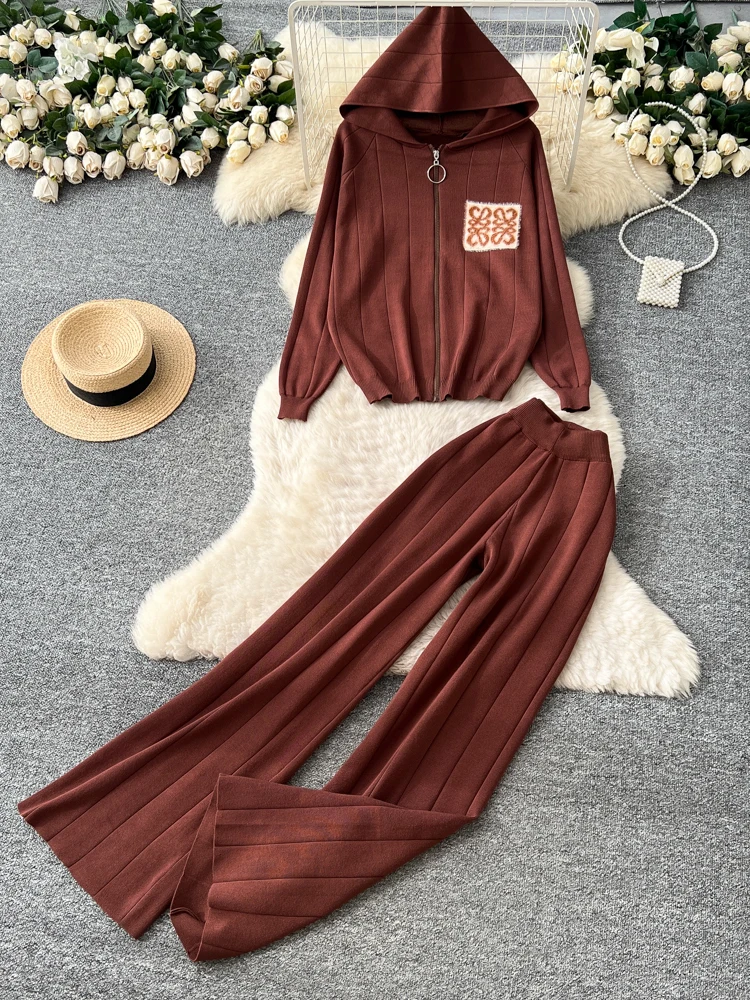 Coreano Sle Abbigliamento sportivo casual Set da due pezzi Donna Allentato Versatile Cerniera con cappuccio Lungo Sve Top lavorato a maglia Pantaloni a gamba larga