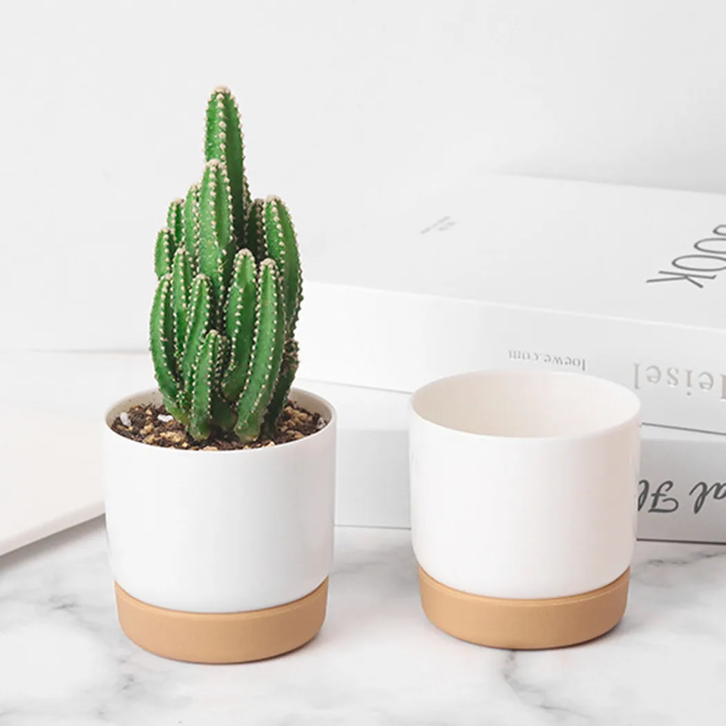 Imitation Ceramic Lazy Round Double-layer Succulent Green Radish Plastic Flowerpot With Automatic Water Absorption And Storage