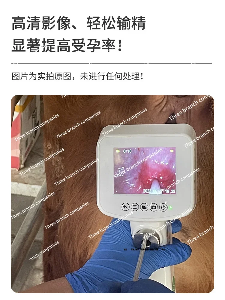 Cow-Carrying Visual Insemination Gun Improved Sperm Infusion Endoscope Cow Artificial Cold Matching