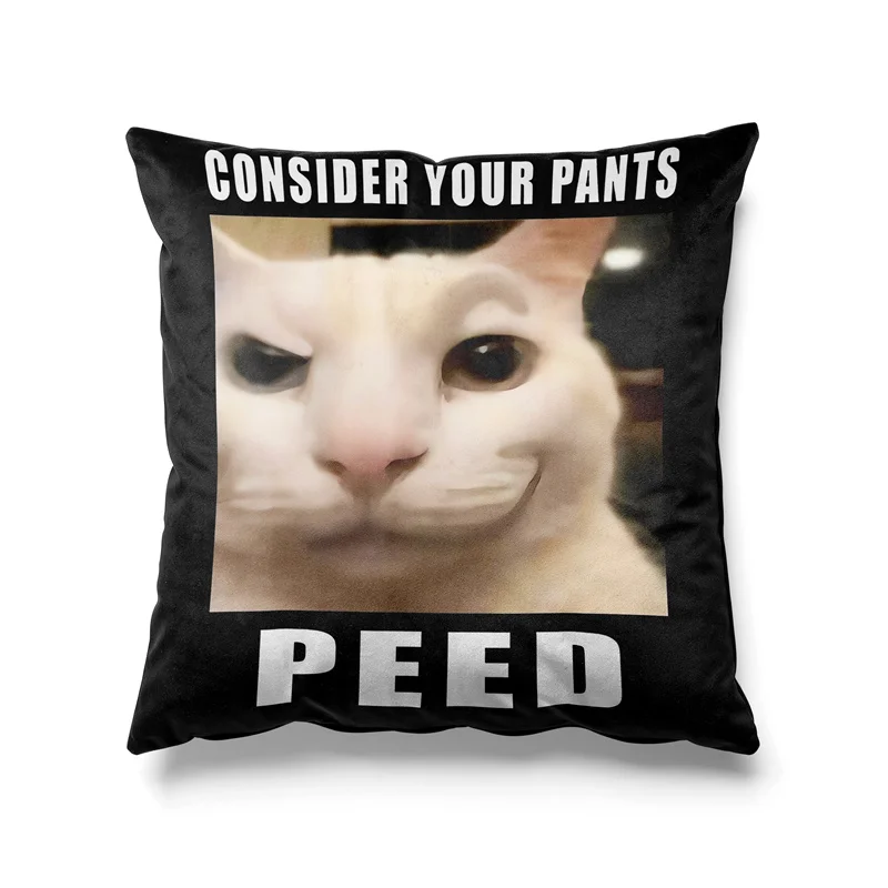Aertemisi 18'' x 18'' Consider Your Pants Peed Funny Cat Meme Square Throw Pillow Cushion Covers Cases Pillowcases 45cm x 45cm