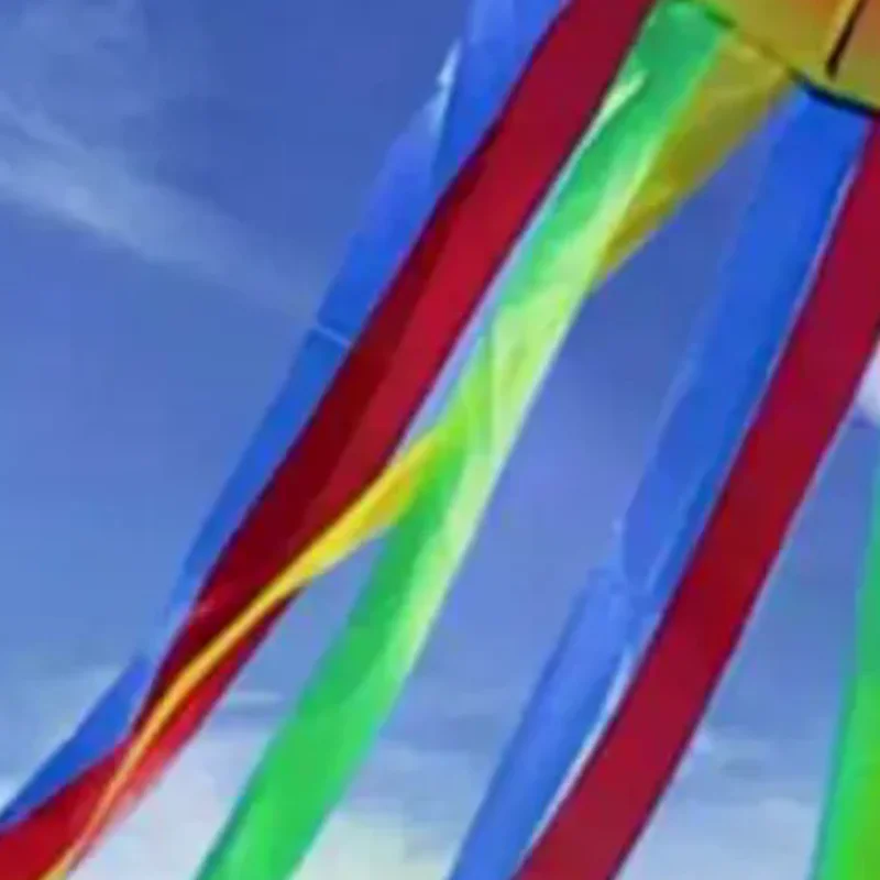 1 Set riesige weiche Drachen für Erwachsene, Outdoor-Spielzeug, regenbogenfarbener 3D-Krake-Weichdrachen, 4 m riesiger Drachen mit 100 m Reifenlinie