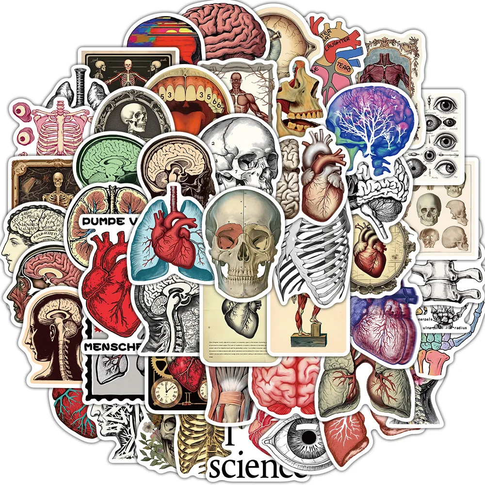 50PCS Retro Scientific Anatomy Sticker Physiology Anatomy Luggage Laptop Cars PVC Guitar Coffee Skateboard Notebook Decals