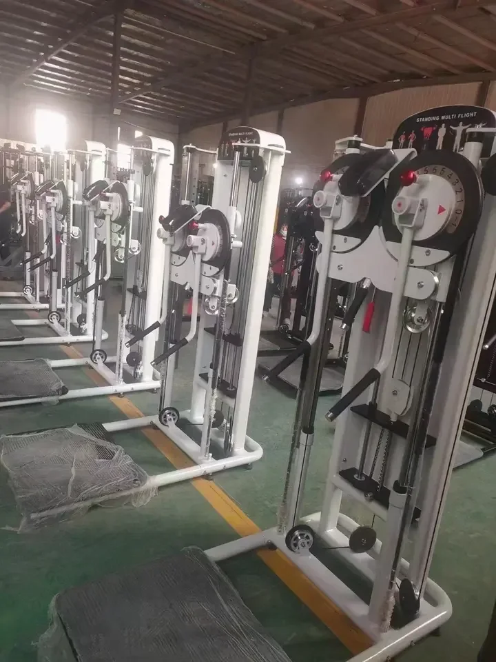 آلات اختيار تحميل دبوس الصالة الرياضية متعددة الوظائف، آلة رفع جانبية قائمة، رحلات متعددة