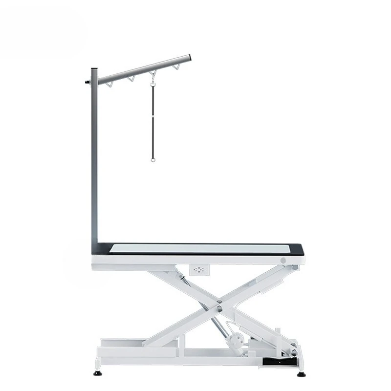 

Pet dog LED electric lifting beauty table veterinary clinic beauty salon