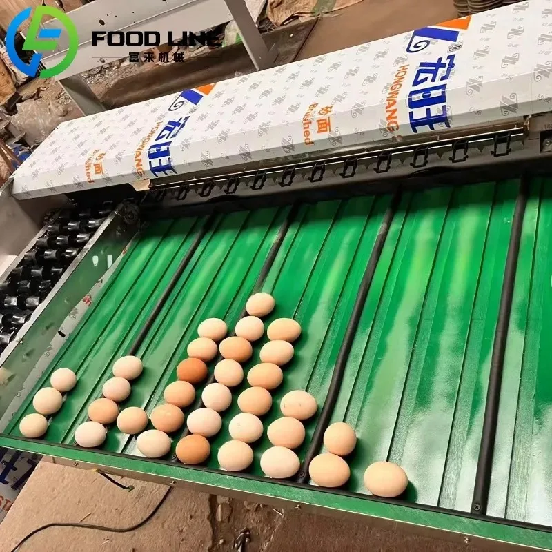 آلة تصنيف البيض الأوتوماتيكية، فارز الوزن والحجم التجاري لمزرعة الدواجن وأعمال تعبئة البيض
