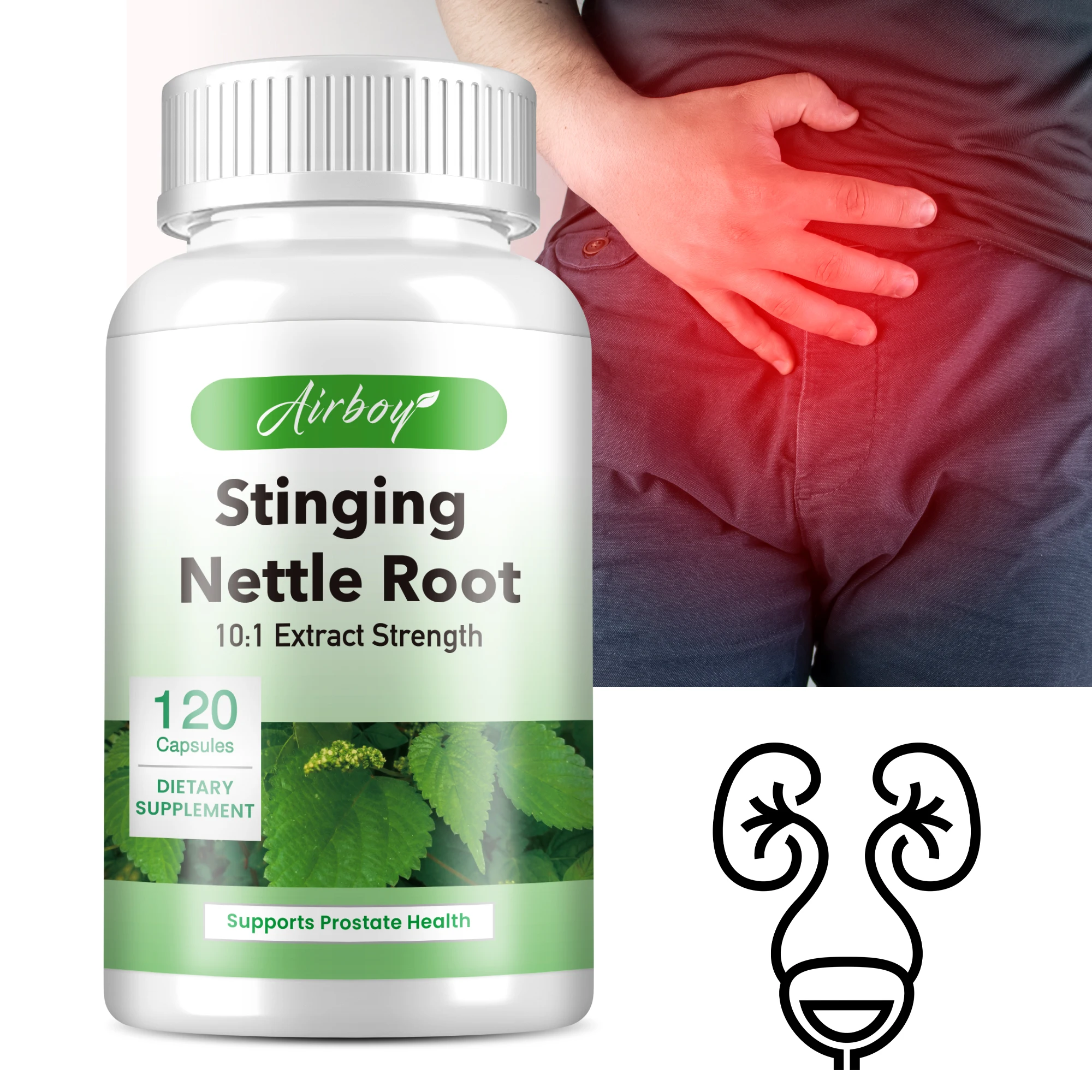 

Stinging Nettle Root - Reduces Urinary Frequency, Supports Prostate & Urinary Tract Health, Promotes Hair Growth, Boost Immunity