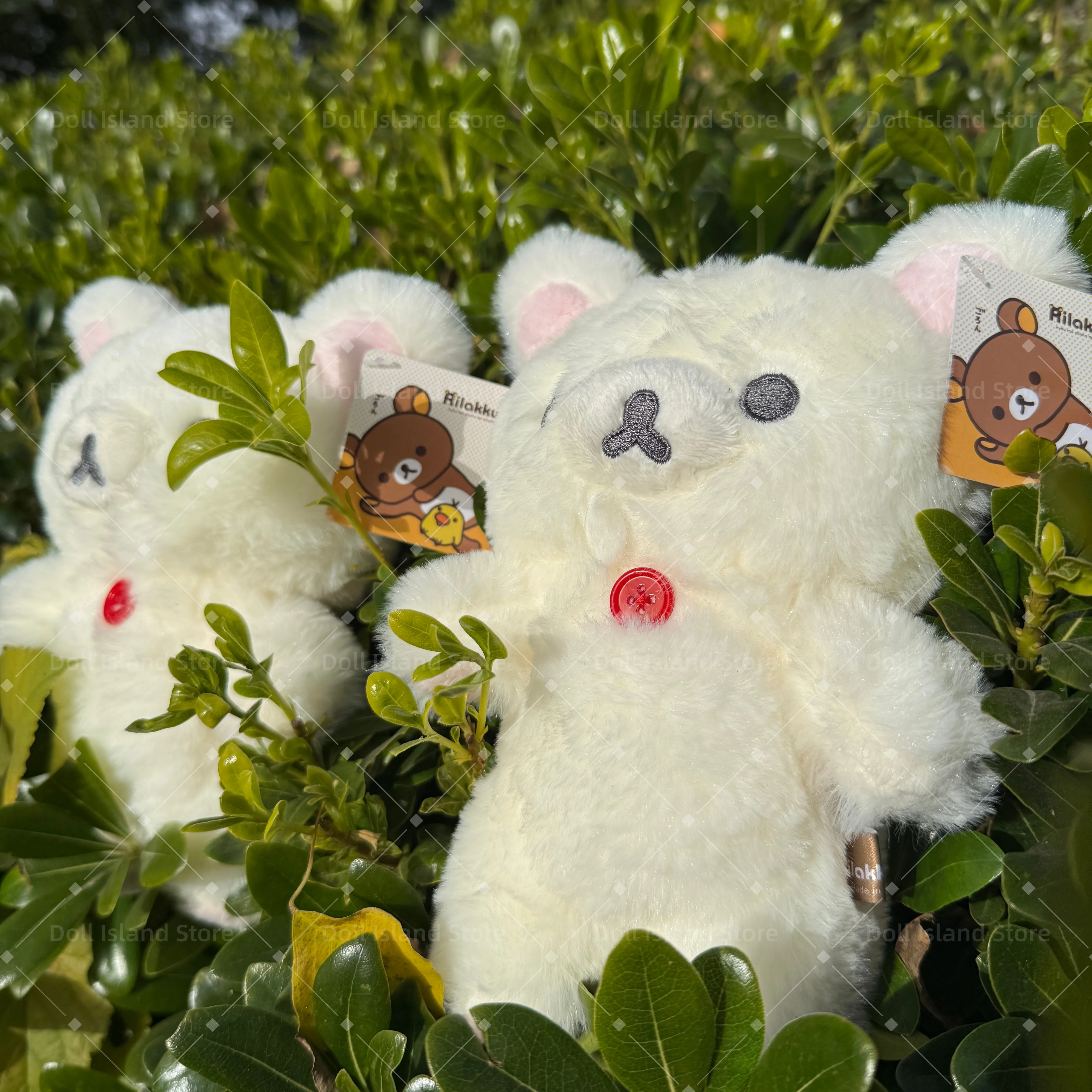 20 سنتيمتر أشعث Rilakkuma ألعاب من القطيفة Kawaii الأبيض الدب محشوة دمية رائعتين أنيمي الدب غرفة ديكور هدية عيد ميلاد للأطفال #4