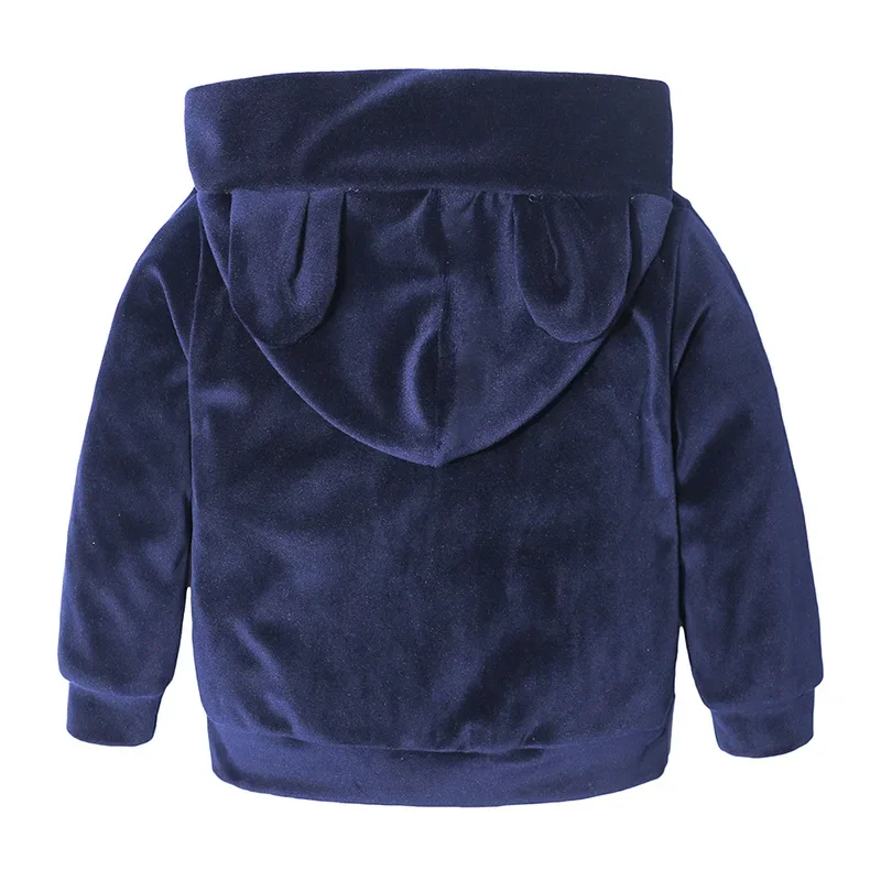 Ensemble de survêtement 2 pièces pour enfants, sweats à capuche et pantalons pour bébés, vêtements de loisirs pour garçons et filles, pull décontracté à capuche pour enfants