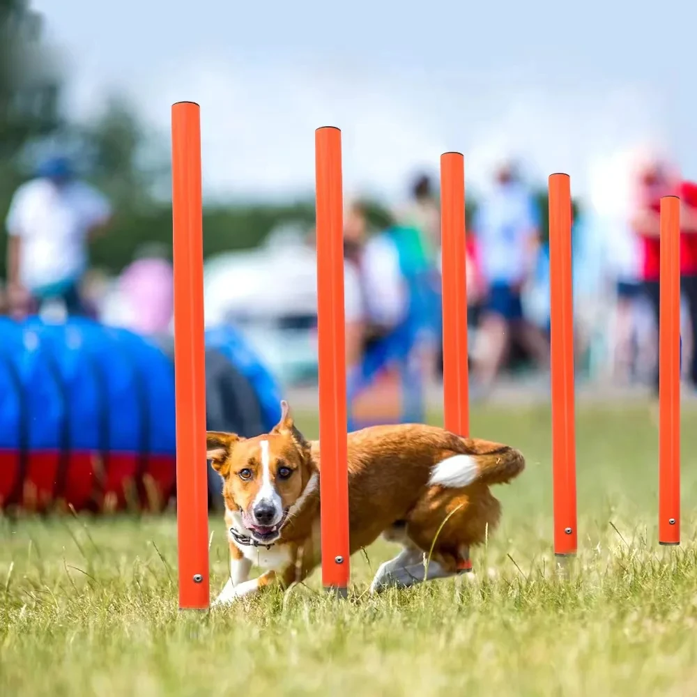 Dog Agility Weave Poles Portable Dog Training Poles Dog Agility Equipment Training Obstacle Course Beginner Kit Dog Agility Set