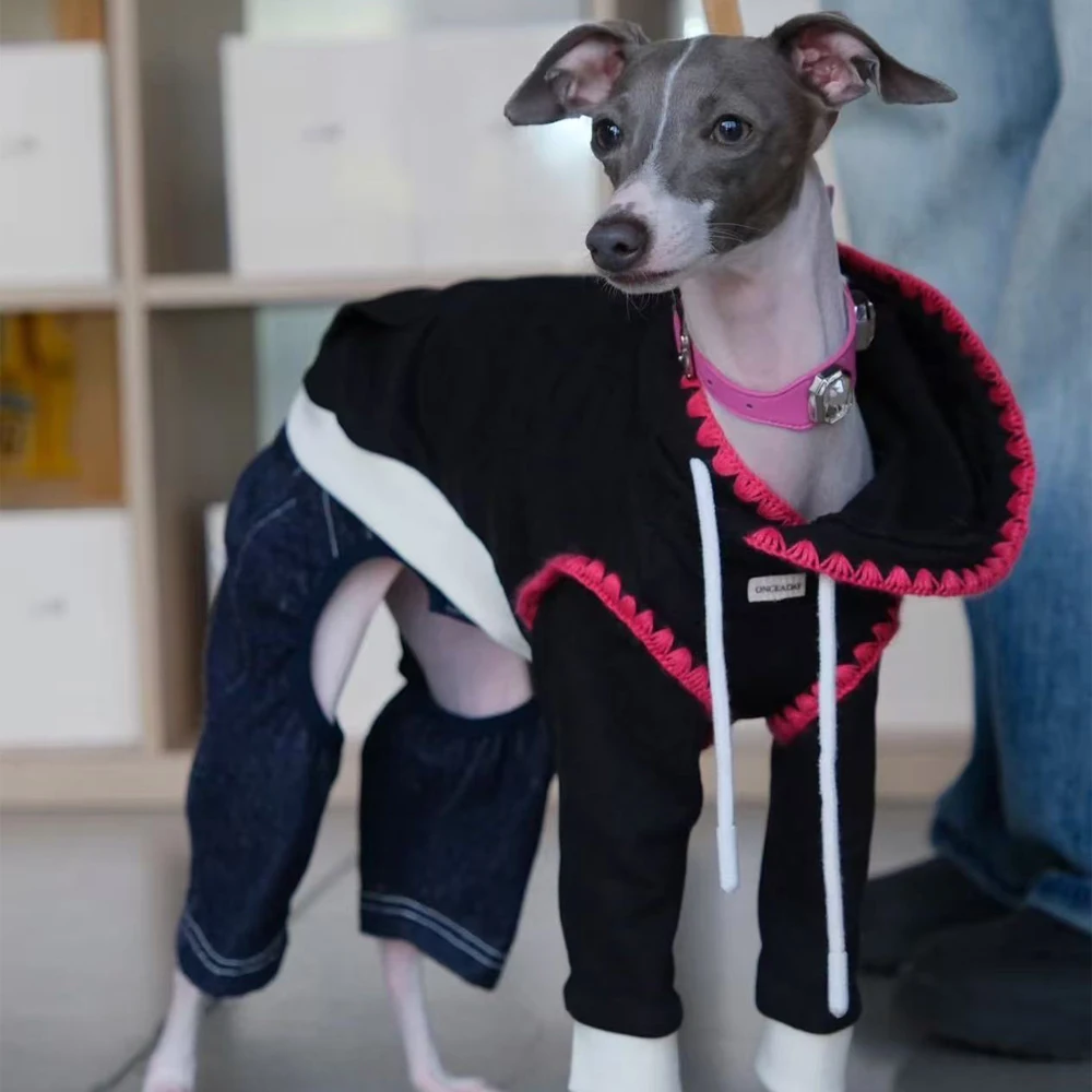 

Модная толстовка с капюшоном для итальянского борзая, зимняя теплая куртка, пальто для уиппета, осенний костюм терьера для маленьких и средних собак