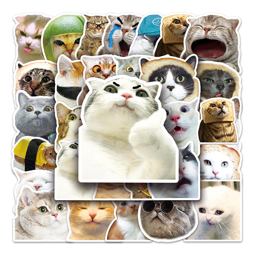 10/30/50pcs Cat Stickers Cartoon Meme Animals Funny Decals Toys DIY Scrapbook Skateboard Laptop Phone Bike Kawaii Kids Sticker