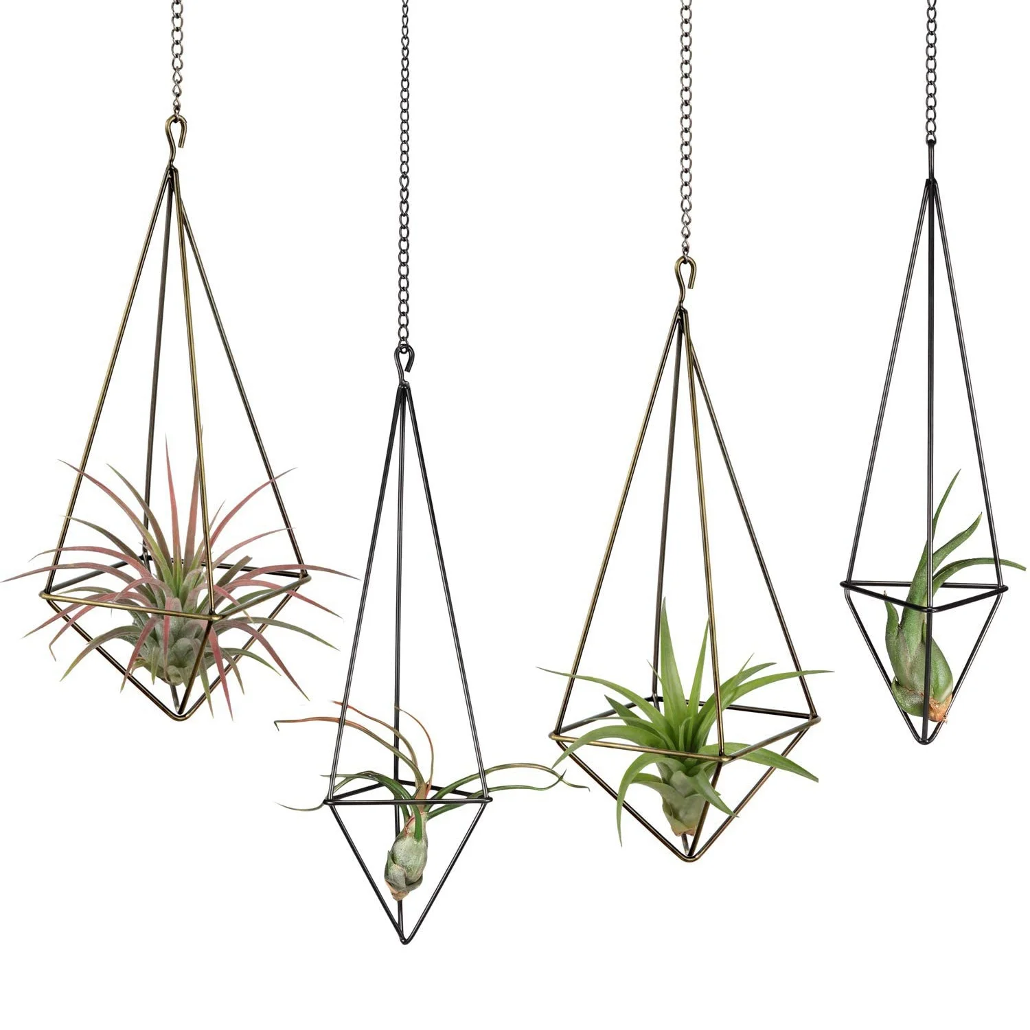 Hanging Air Plant Holder- 4 Pack, 2 Sizes Metal Air Plant Rack Tillandsia Hanger Display Himmeli Planter with Chains