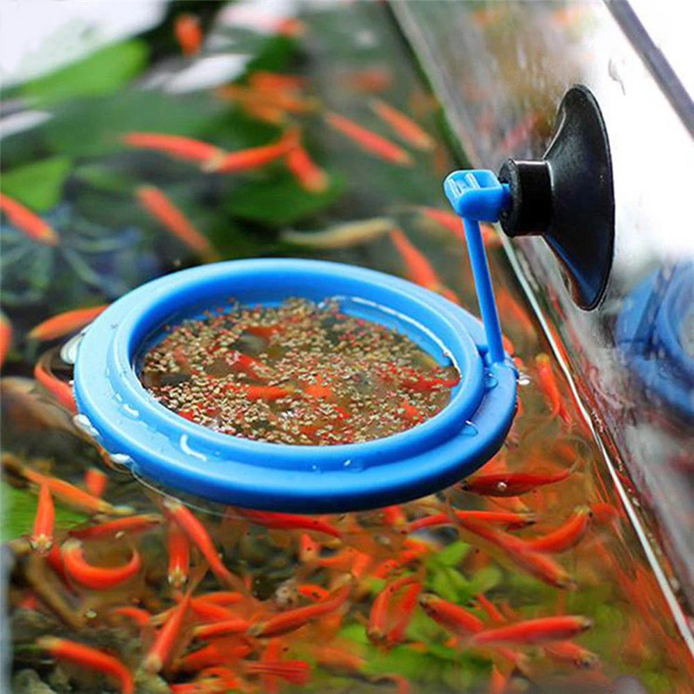 New Aquarium Feeding Ring Fish Tank Station Floating Food Tray  Square Circle Accessory Water Plant Buoyancy Suction