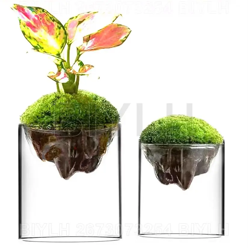 Thicken Glass Moss Bottle Creative Floating Mountain Micro-landscape Ecological Bottle Home Decorations Hydroponic Plant Vase