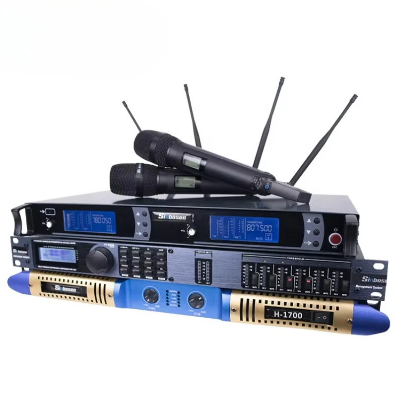 Dual Channel Wireless Microphone Audio Processor Night Club Sound System