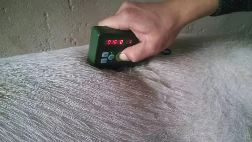 Pig Mini Veterinary Back    Thickness Measure Tester Back   Meter UT01