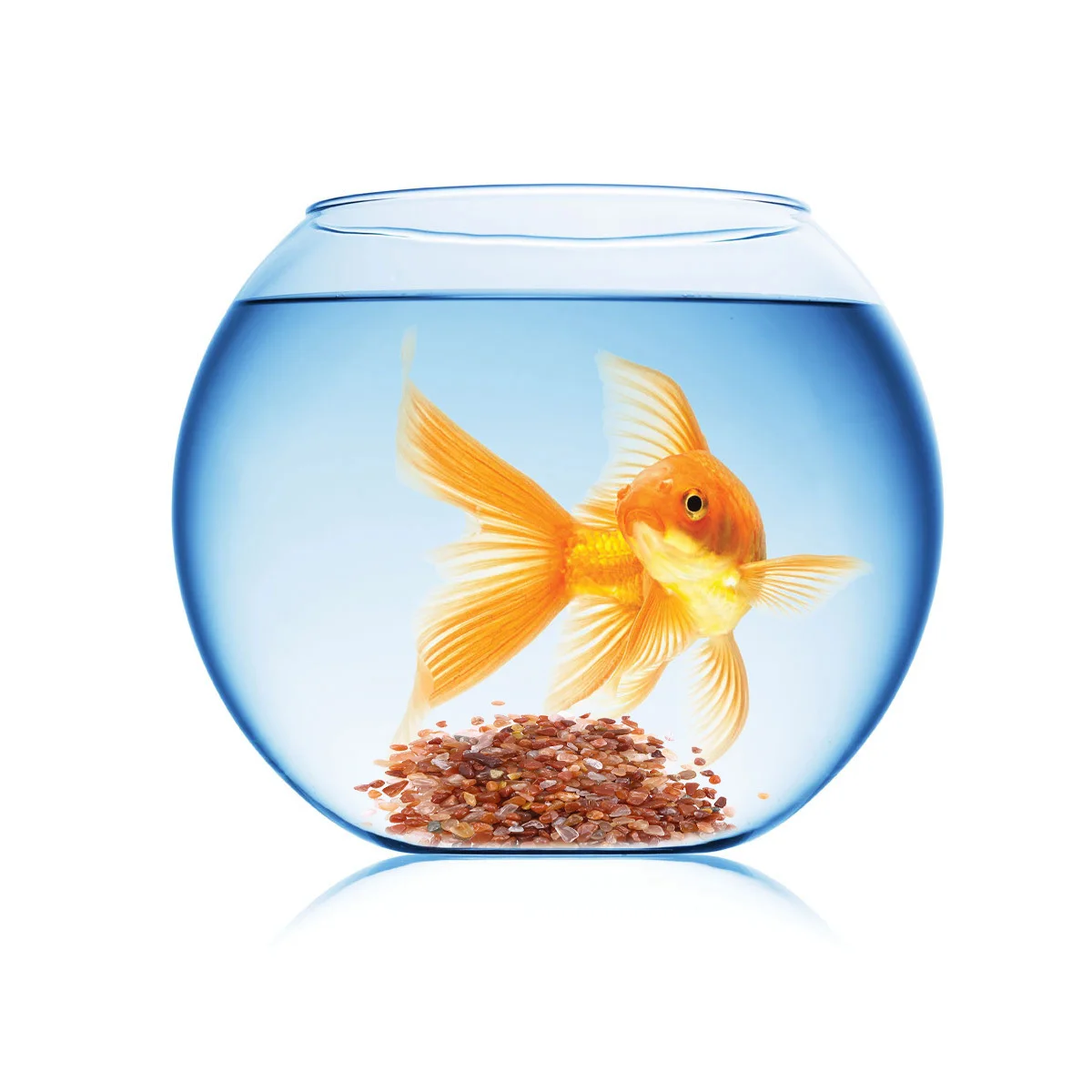 

100G Red Agate Polished Gravel Mixed Color Decorative Stones for Aquarium Fish Tank Terrarium Garden Walkway Water Feature