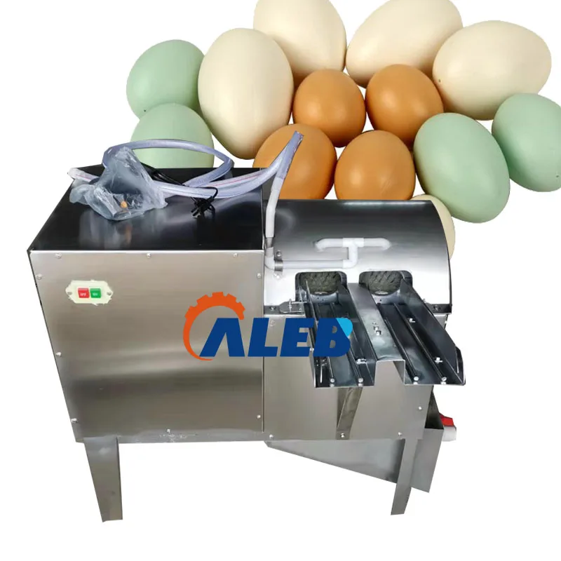 Automatic Egg Washing Machine/Commercial Egg Cleaning Machine