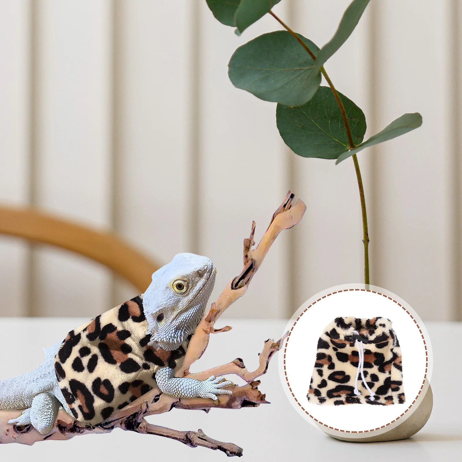 ملابس التنين الملتحي، ملابس الزواحف الصغيرة، ملابس خارجية دافئة، سحلية، مدمجة خفيفة الوزن، آمنة ومريحة للمشي #2