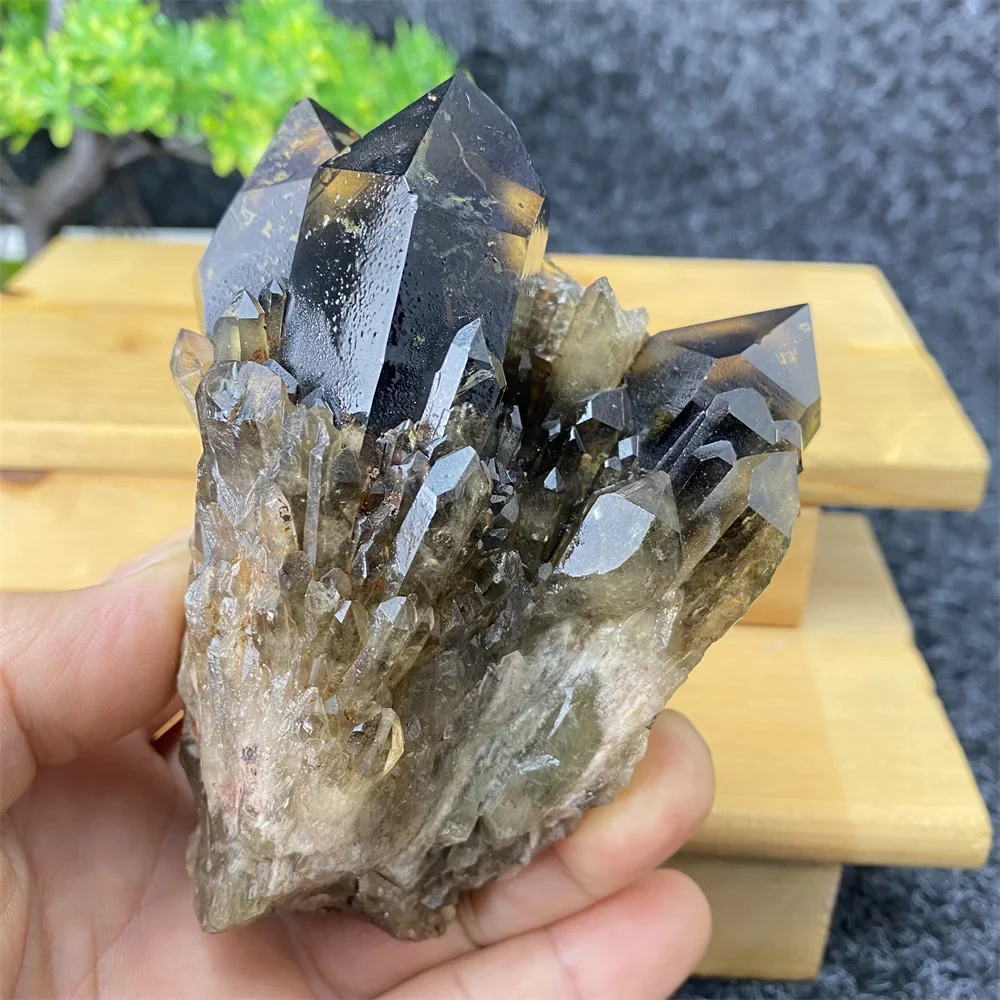 Natural Mineral Black Crystal Ore Specimens Spiritual Healing Home Decoration Crafts Holiday Gifts + Shelves
