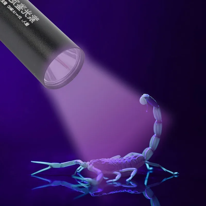 365nm LED Ultraviolet Torch UV Flashlight Rechargeable Zoomable Mini Ultra Violet Lights Pet Urine Stains Detector Hunting Tools