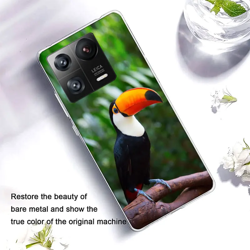 Tropical Toucan Clear Luxury For Xiaomi Mi 13 12 12T Pro 11 Ultra 11T 11i 10 10T 9 9T 8 Lite 6X 5X A3 CC9E A2 A1 Phone Cover Cas