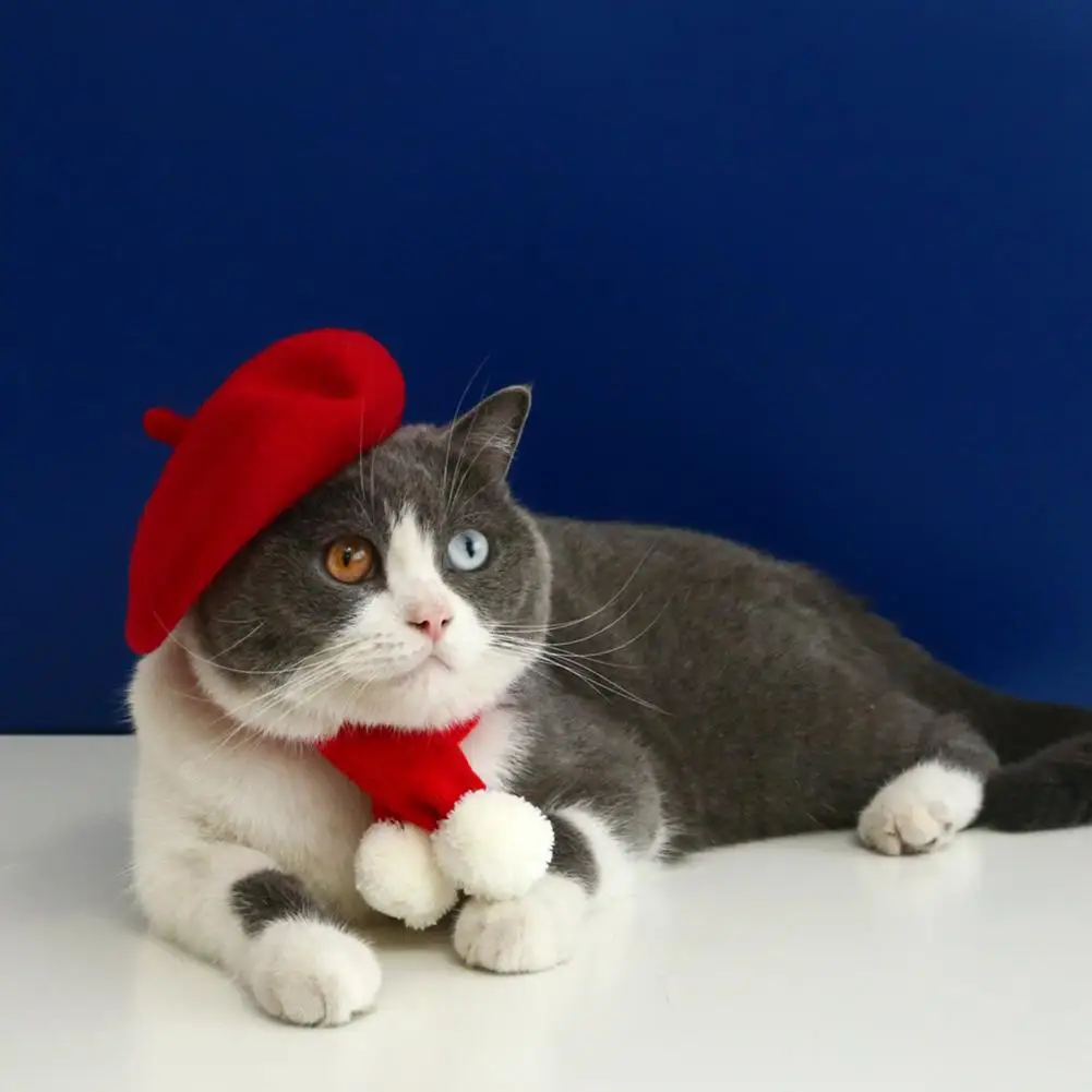 Como Escolher o Melhor Chapéu para Seu Pet: Um Guia Prático para o Chapéu de Gato Estiloso e Ajustável