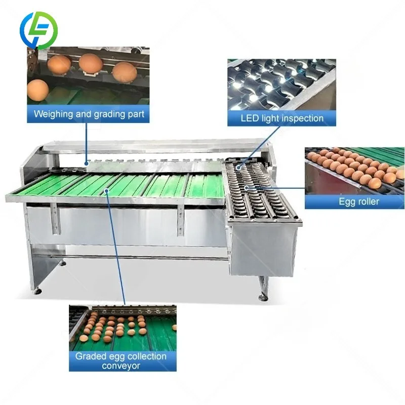 FL Customized Mini Egg Grading Machine Desktop Egg Sorting Machine Light‑weight Egg Classifier Device For Backyard Poultry Farm