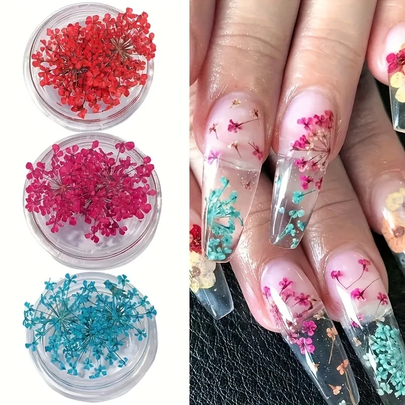 12 Colors 3D Vibrant Dried Flower Nail Charms, Self‑Adhesive Delicate Real Dried Flower Nail Art Decorations, Easy Application DIY Nail Supplies for Home & Nail Salon