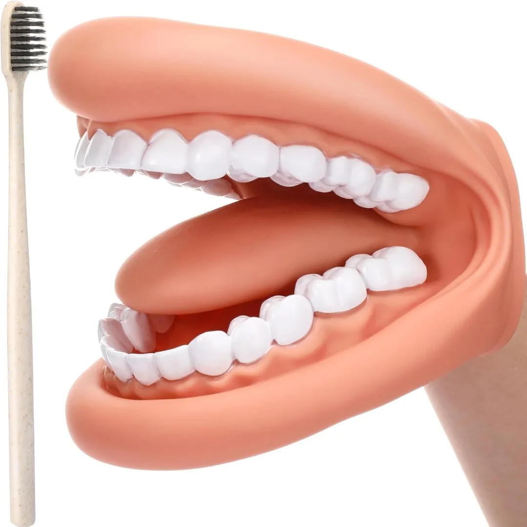 Dental Teeth Care Model Mouth Puppet with Tongue Soft Silicone Teeth Demonstration Model Brushing Oral Model Dental Education